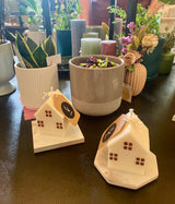 Tiny Little House